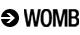 Womb