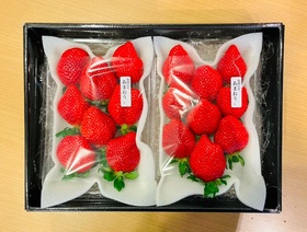 strawberry20211225.jpg