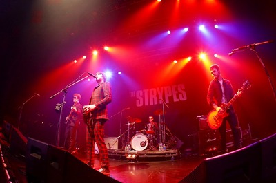 TheStrypes2.jpg
