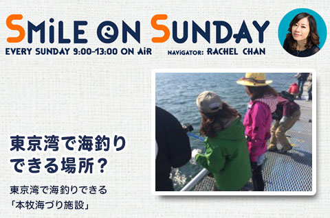 東京湾で海釣りできる「本牧海づり施設」