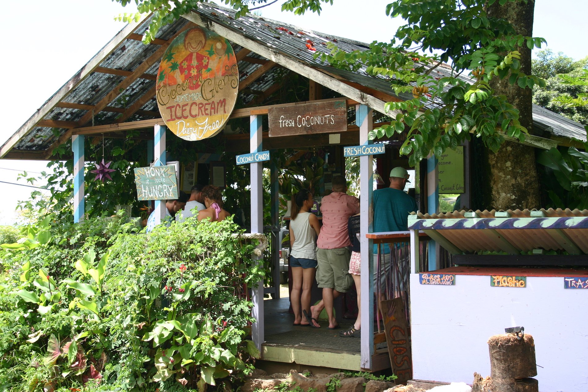 ハワイのココナッツアイスクリーム店が日本初上陸 濃厚で満足感のある甘さが堪らない Ameba News アメーバニュース