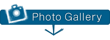 Photo Gallery