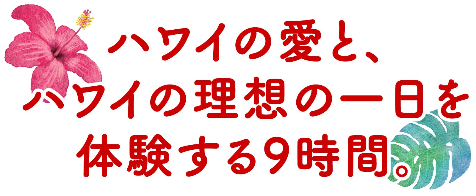 ハワイの愛と、ハワイの理想の一日を体験する9時間。