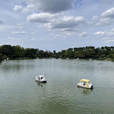 写真：洗足池公園