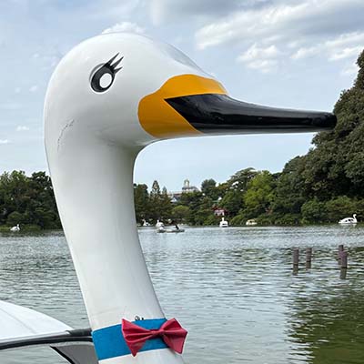 写真：かわにしなつ