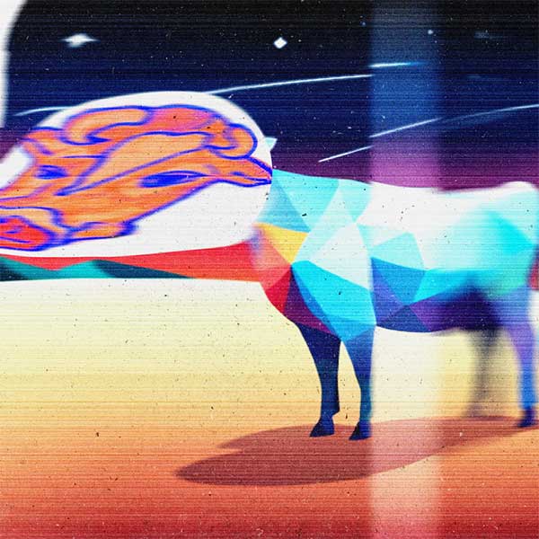 写真：浦上想起