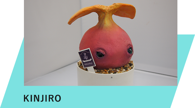 KINJIRO