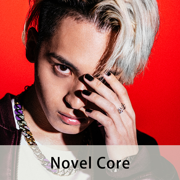 Novel Core