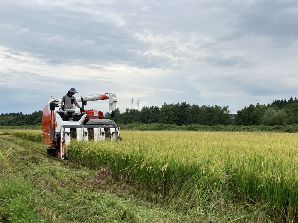 20240112h01.jpgのサムネイル画像