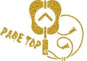 PAGE TOP