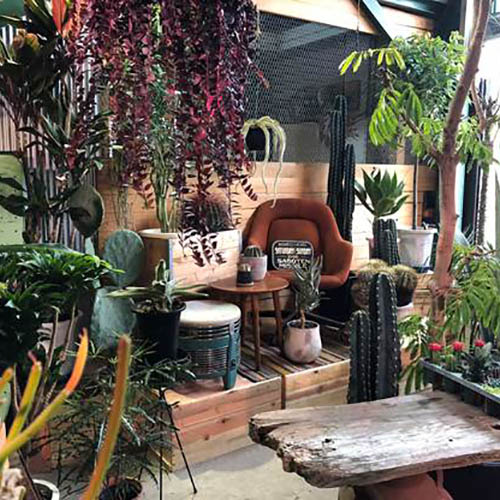 SABOTEN MISSILE（サボテンミサイル）