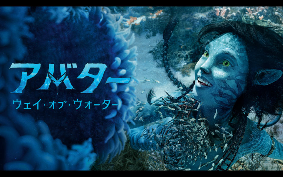 13年ぶりになる、アバターとMEET AGAIN