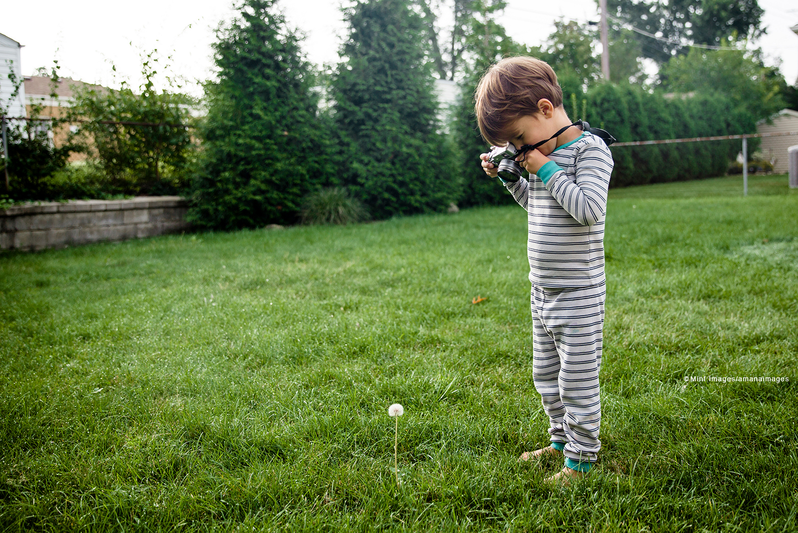 2018.03 PHOTOGRAPH：写真