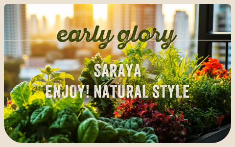 SARAYA ENJOY NATURAL STYLE（野村友里）